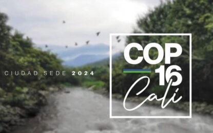 Cali elegida como la sede de la COP16