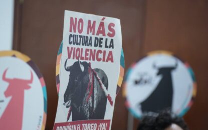 Proponen prohibir las corridas de toros en la feria de Cali