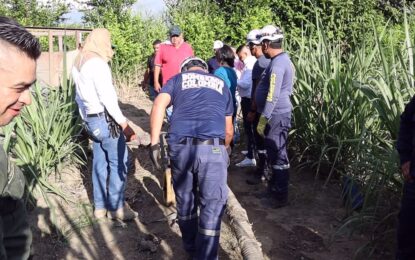 Restos humanos fueron hallados en Andalucía