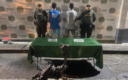 Capturados cinco motoladrones en el Valle