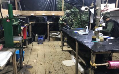 Autoridades desmantelaron 18 laboratorios de cocaína