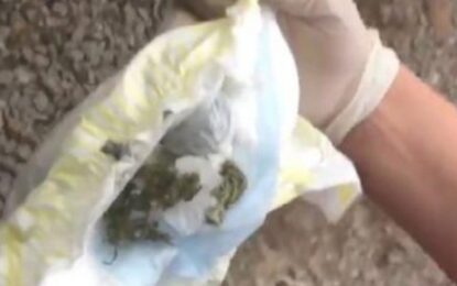 Autoridades incautaron 900 kilos de droga que estaban camuflados en pañales