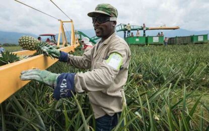 El Valle impulsara la agricultura regenerativa en la región
