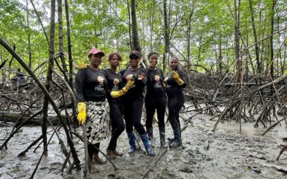 Radicado proyecto que busca beneficiar a las piangüeras