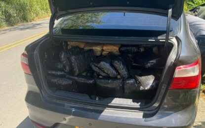 Incautan 315 kilos de marihuana tipo ‘Creepy’ en zona rural de Toro, Valle