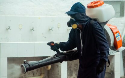 Dengue.IA: la herramienta que predice brotes y redibuja la lucha contra el virus en Cali