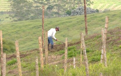 Gobernadora del Valle pide priorizar a campesinos vallecaucanos en entrega de tierras