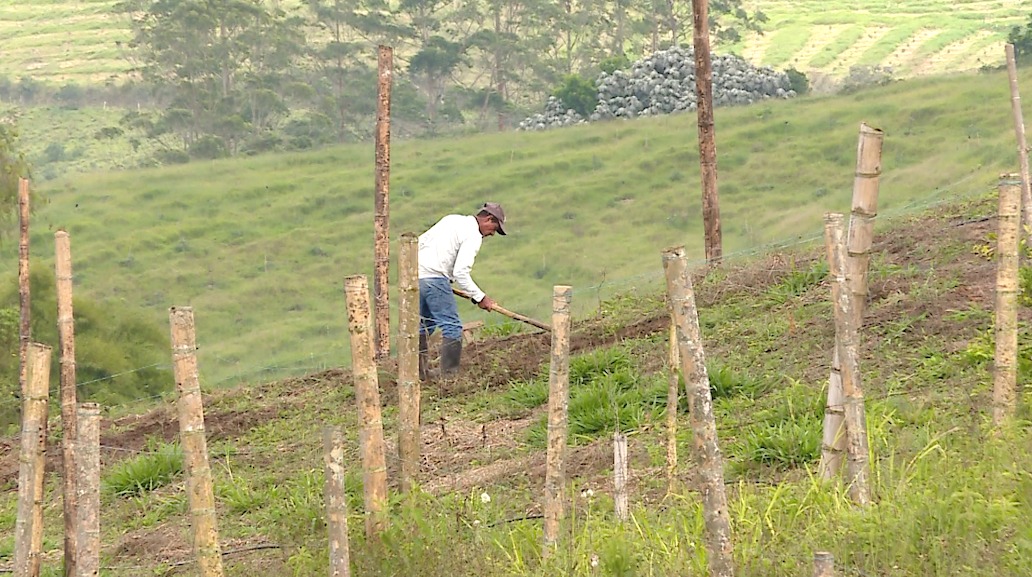 Gobernadora del Valle pide priorizar a campesinos vallecaucanos en entrega de tierras