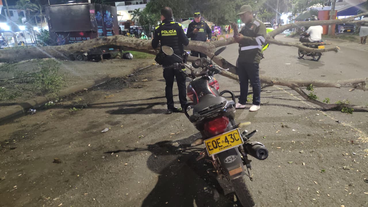 Motociclista pierde la vida tras desprendimiento de rama en pleno barrio Ciudad Córdoba, oriente de Cali