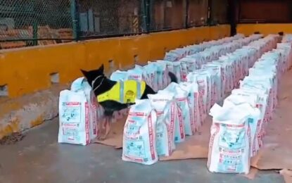 Histórico decomiso de cocaína en Buenaventura: incautan 14 toneladas ocultas en un contenedor que iba a Europa