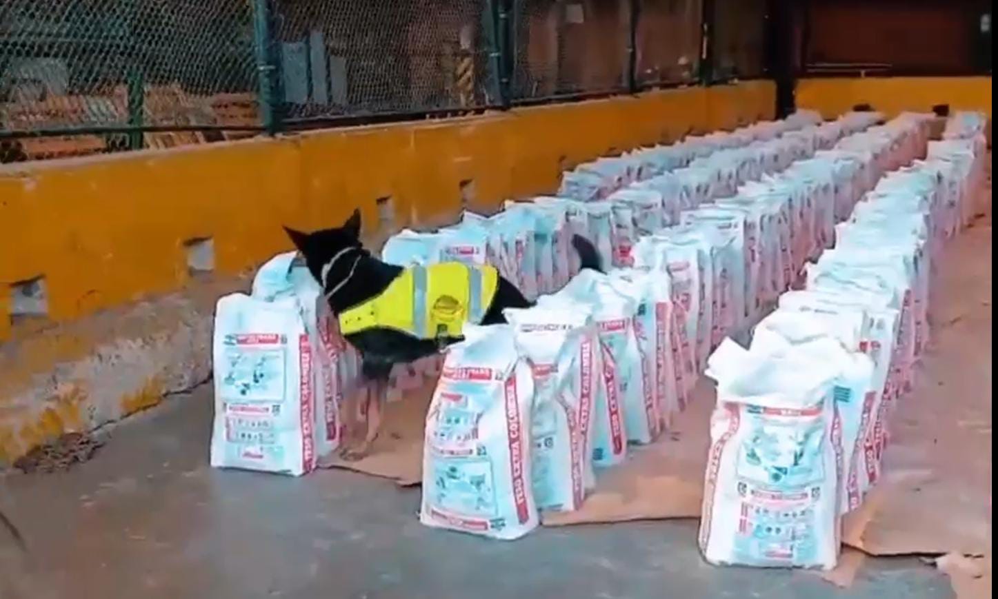 Histórico decomiso de cocaína en Buenaventura: incautan 14 toneladas ocultas en un contenedor que iba a Europa