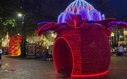 Cali encenderá su Alumbrado Navideño 2025 el 7 de diciembre con un recorrido luminoso inspirado en la biodiversidad y la tradición vallecaucana