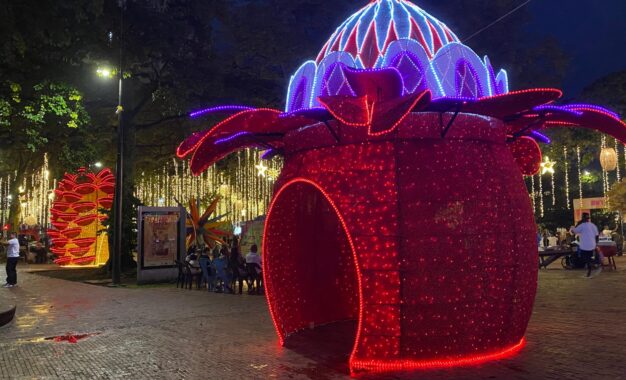 Cali encenderá su Alumbrado Navideño 2025 el 7 de diciembre con un recorrido luminoso inspirado en la biodiversidad y la tradición vallecaucana