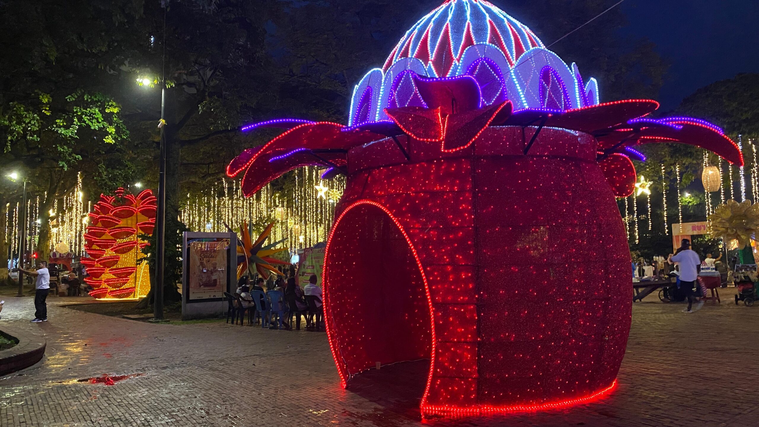 Cali encenderá su Alumbrado Navideño 2025 el 7 de diciembre con un recorrido luminoso inspirado en la biodiversidad y la tradición vallecaucana