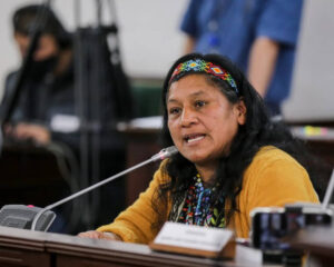 Senadora indígena Aída Quilcué habría sido secuestrada en el Cauca