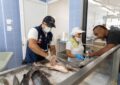 Operativos en expendios de alimentos en Cali por Semana Santa: ojo a pescados y mariscos