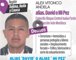 Cayó alias “Mi Pez”, cabecilla de la Dagoberto Ramos señalado de atentado en Cajibío