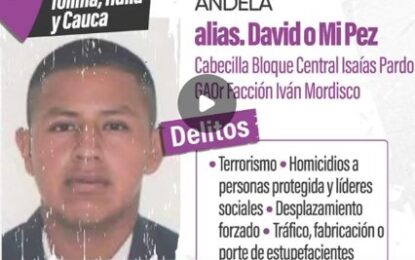Cayó alias “Mi Pez”, cabecilla de la Dagoberto Ramos señalado de atentado en Cajibío
