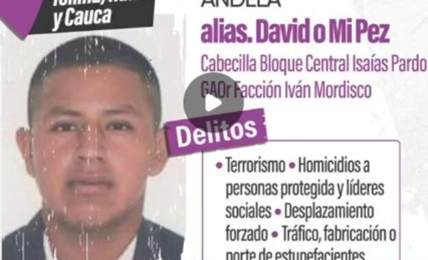 Cayó alias “Mi Pez”, cabecilla de la Dagoberto Ramos señalado de atentado en Cajibío