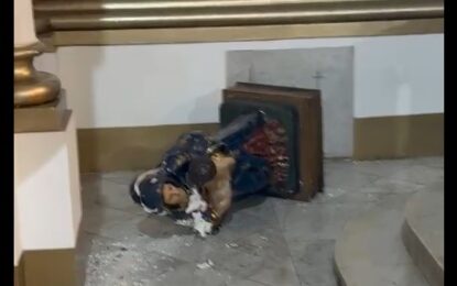Hombre ingresó a La Ermita de Cali y destruyó varias imágenes religiosas en pleno templo